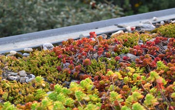 the cost of Tranent green roof installation