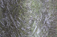 Tranent fibreglass roof work